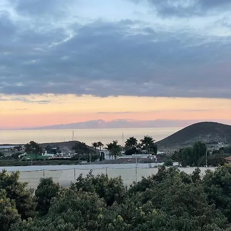 Pajaros Santa Cruz de Tenerife