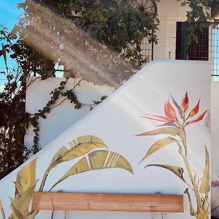 Pajaros Lantgård Santa Cruz de Tenerife