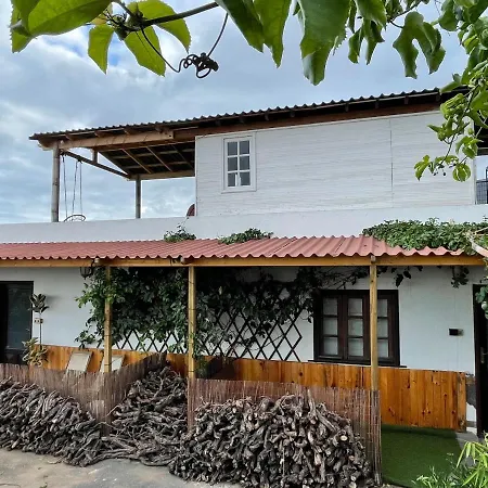 Lantgård Pajaros Santa Cruz de Tenerife