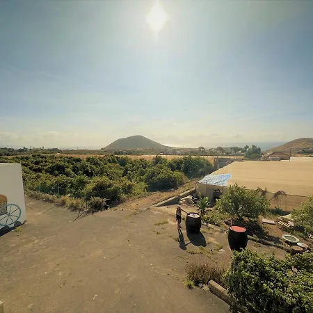 Pajaros * Santa Cruz de Tenerife