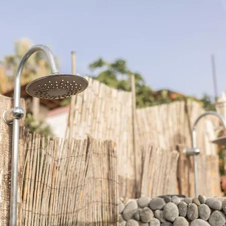 Pajaros Santa Cruz de Tenerife